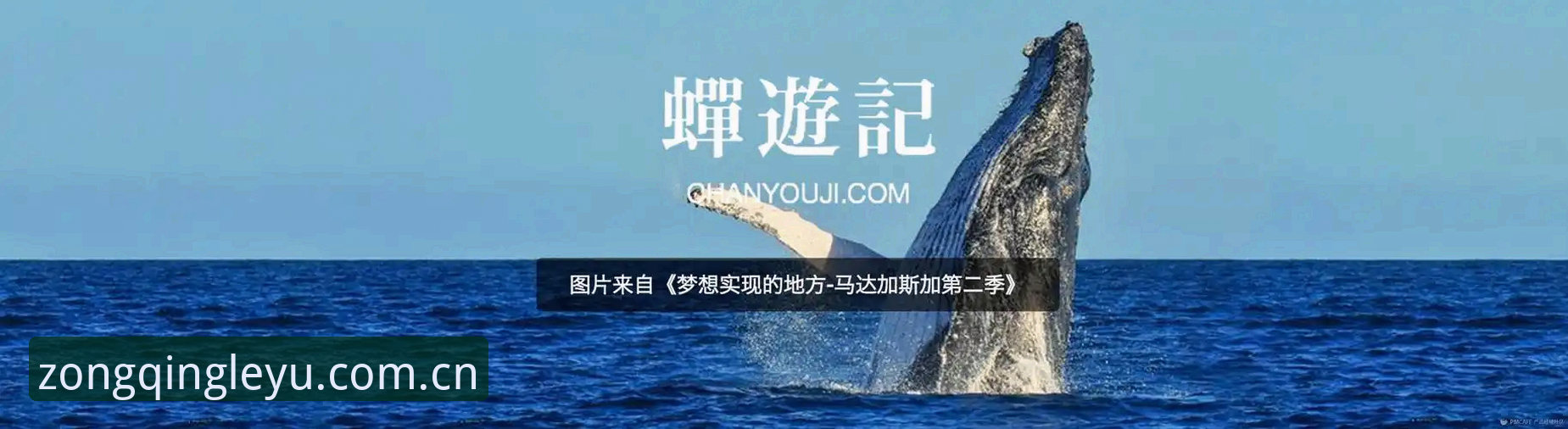 主张纵情此刻APP对比 揭秘“主张纵情此刻APP对比”背后:赛事数据迭代的隐藏逻辑